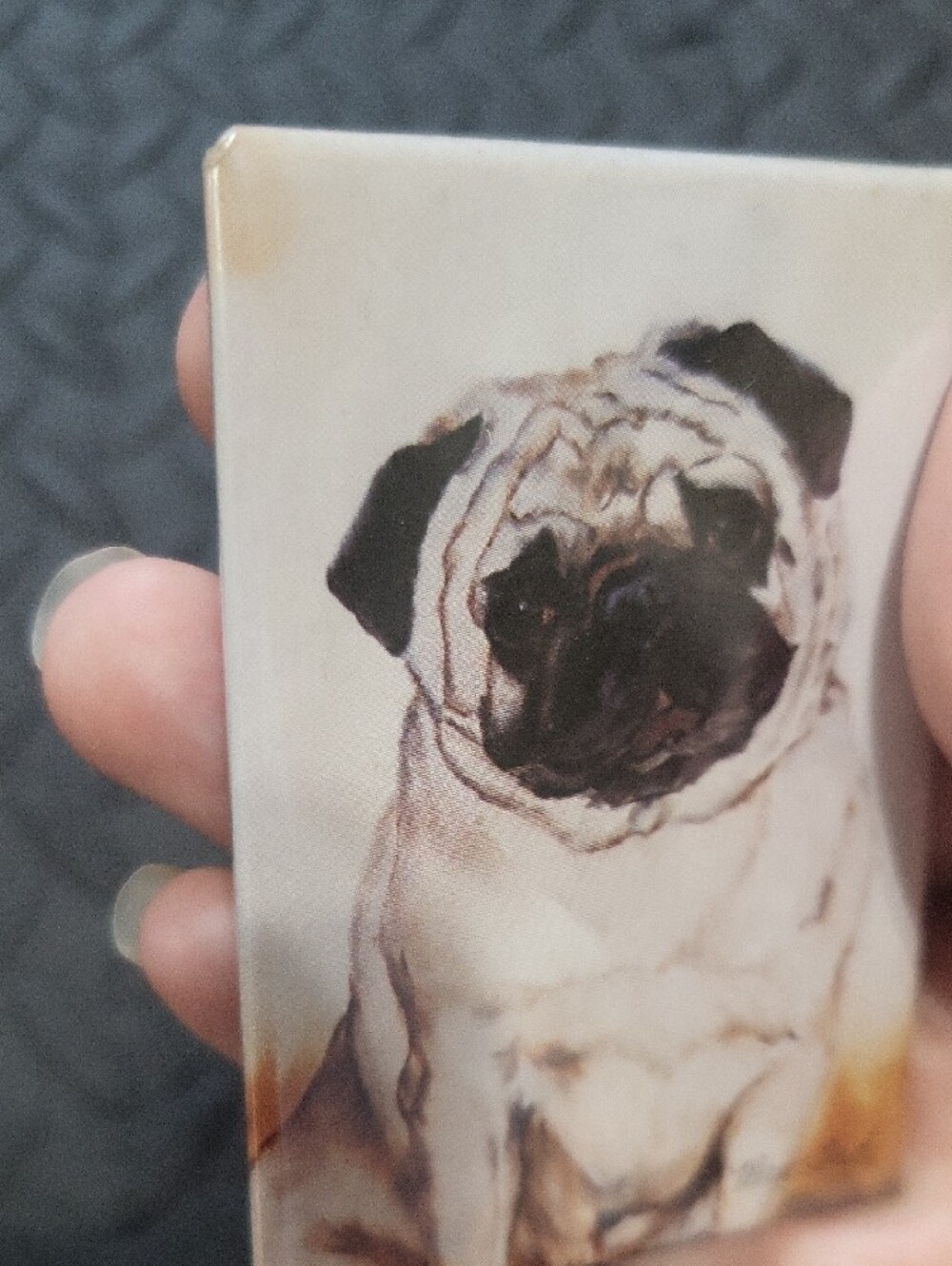 Pug Magnet - Picture 4 of 4